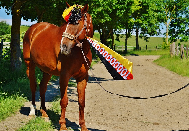 经常追求吸 经常追求吸