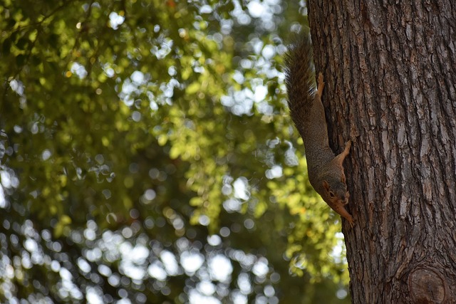 这支年轻而 这支年轻而