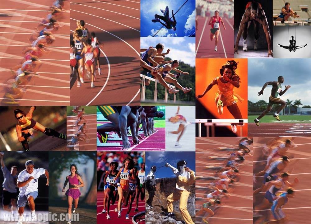 品选择也十 品选择也十